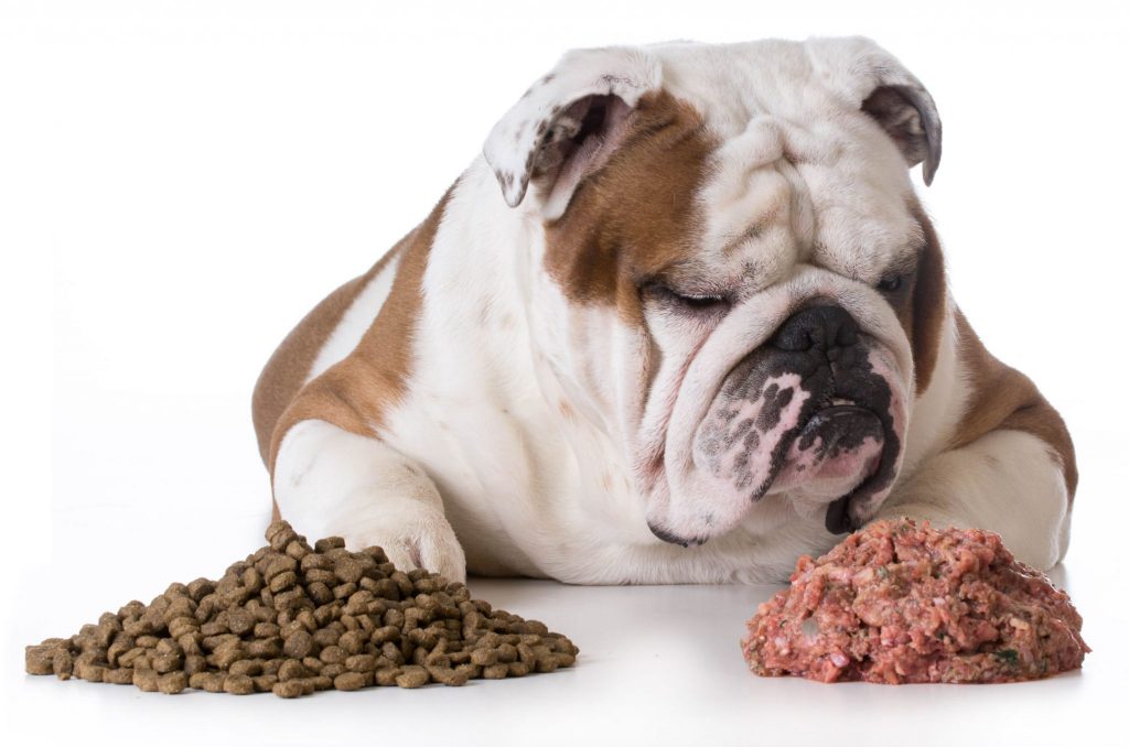 barf-diet-for-dogs-is-it-the-best-pack-of-pets